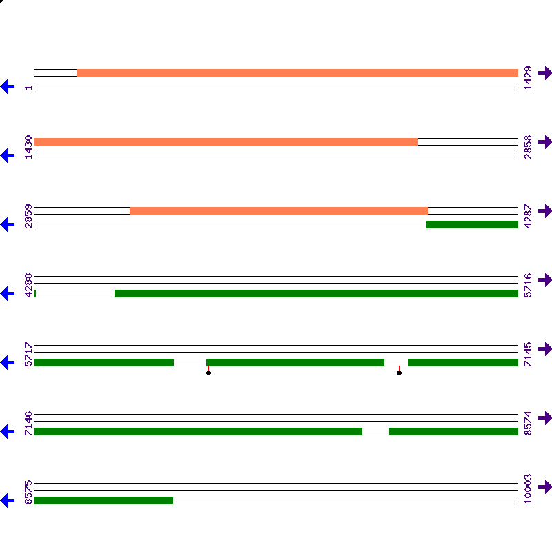 Genome View