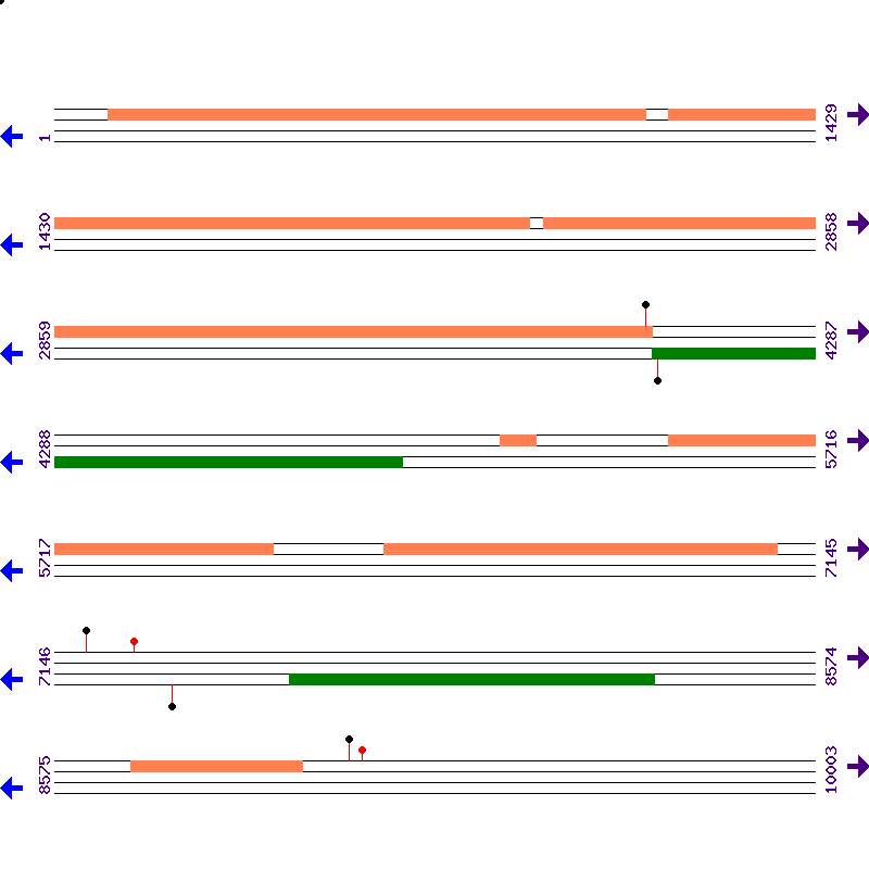 Genome View