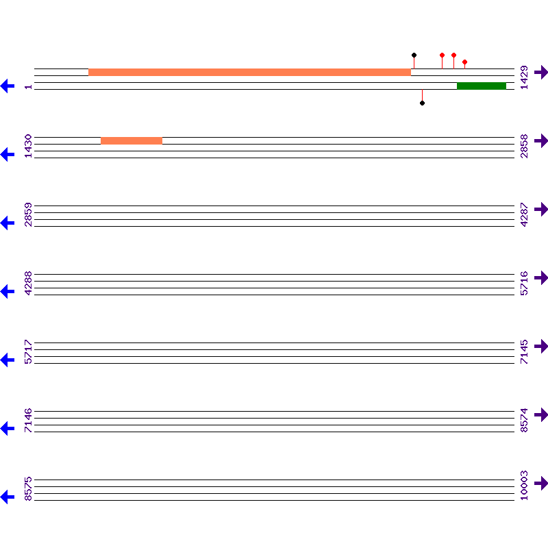 Genome View