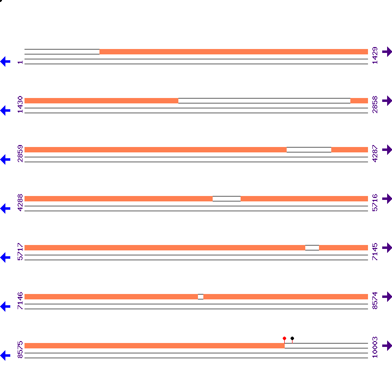 Genome View