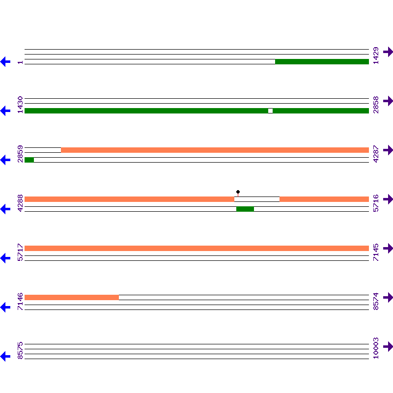 Genome View