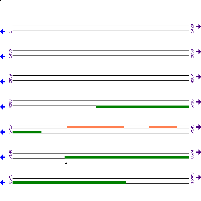 Genome View