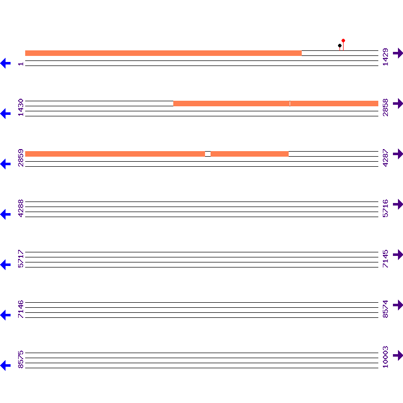 Genome View