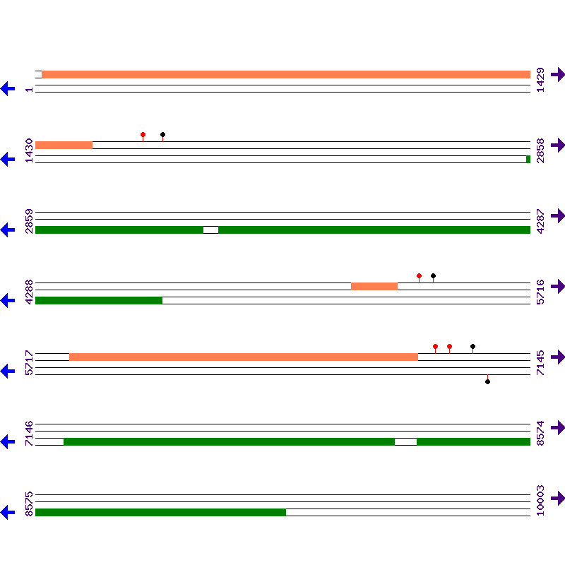 Genome View