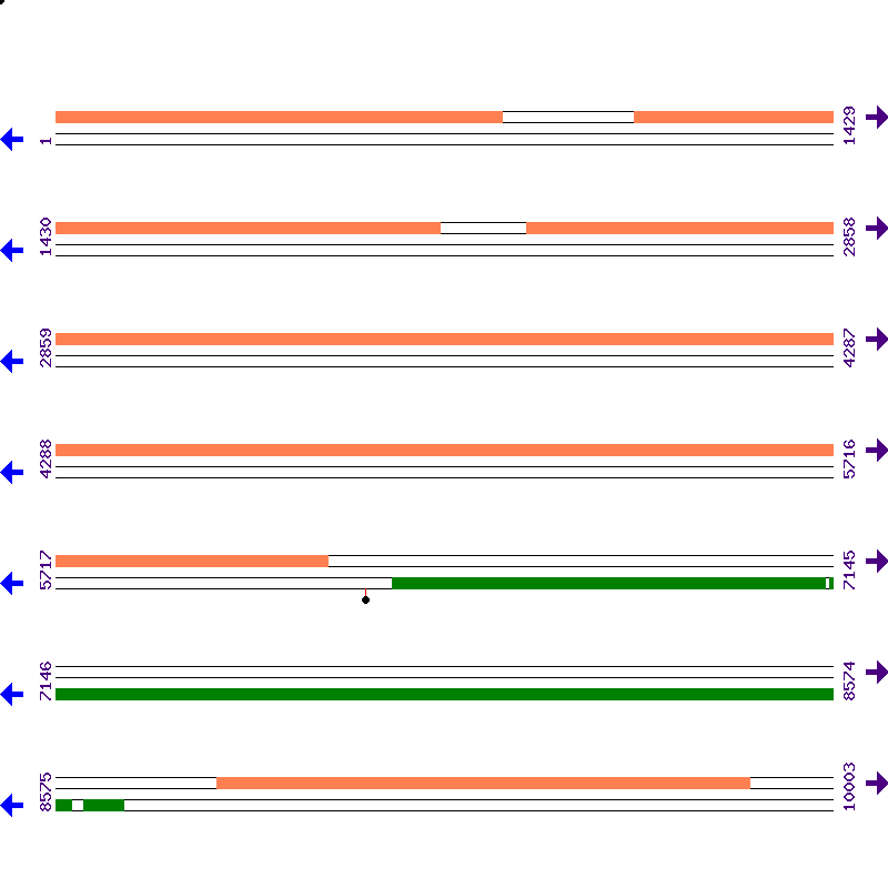 Genome View