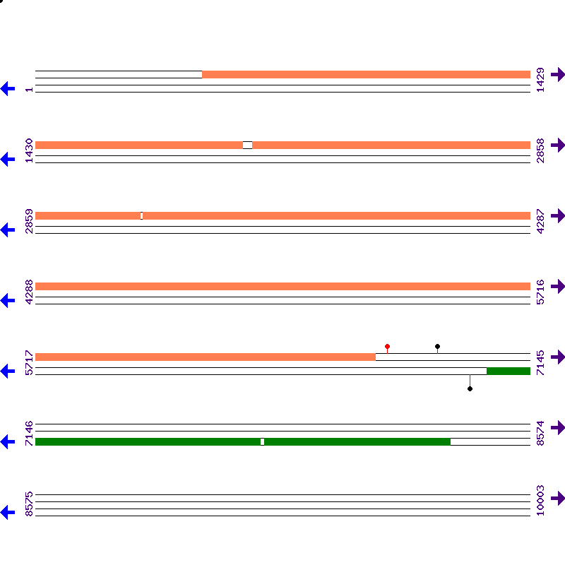 Genome View