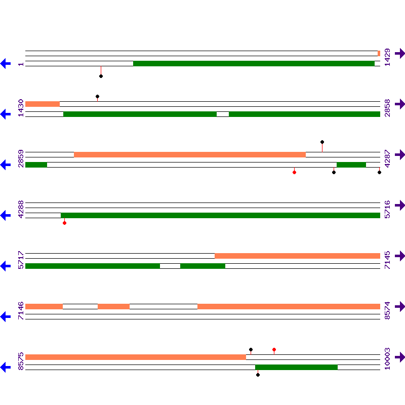 Genome View