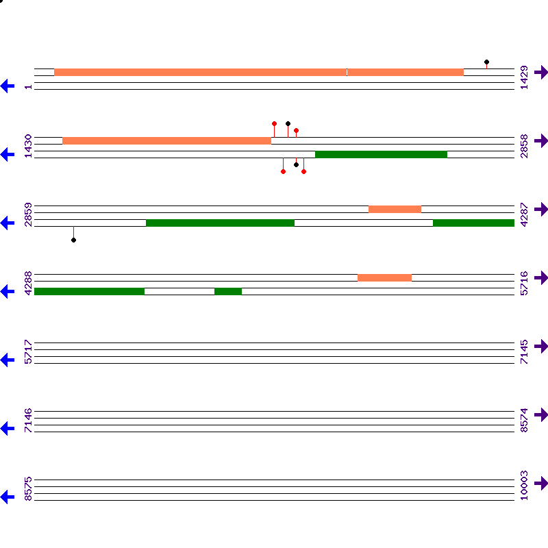 Genome View