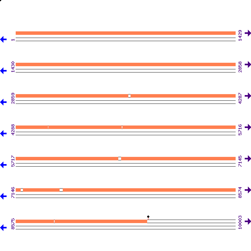 Genome View