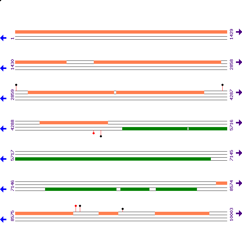 Genome View