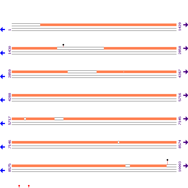 Genome View