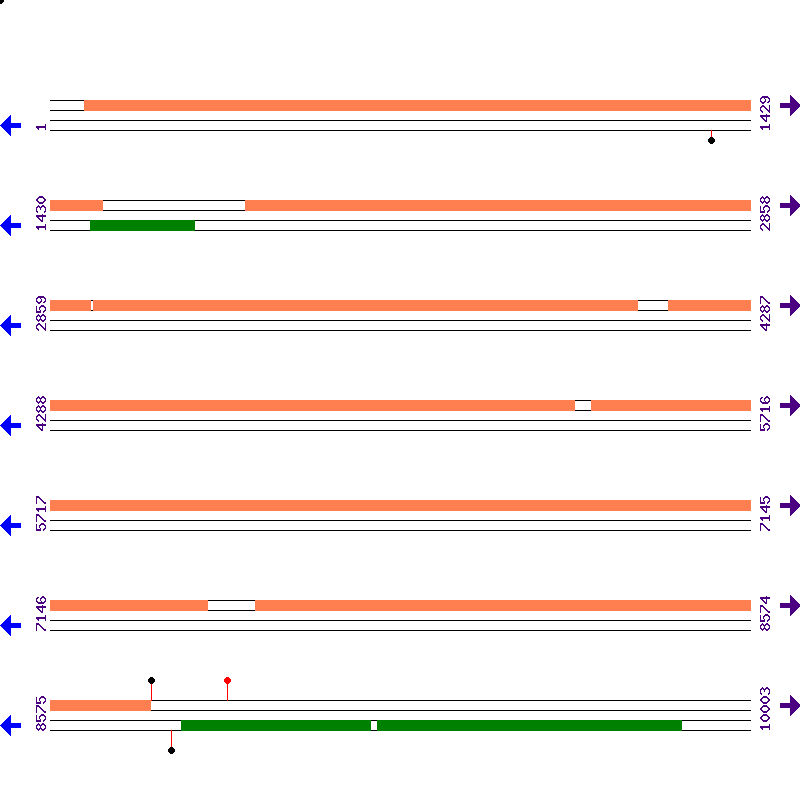 Genome View