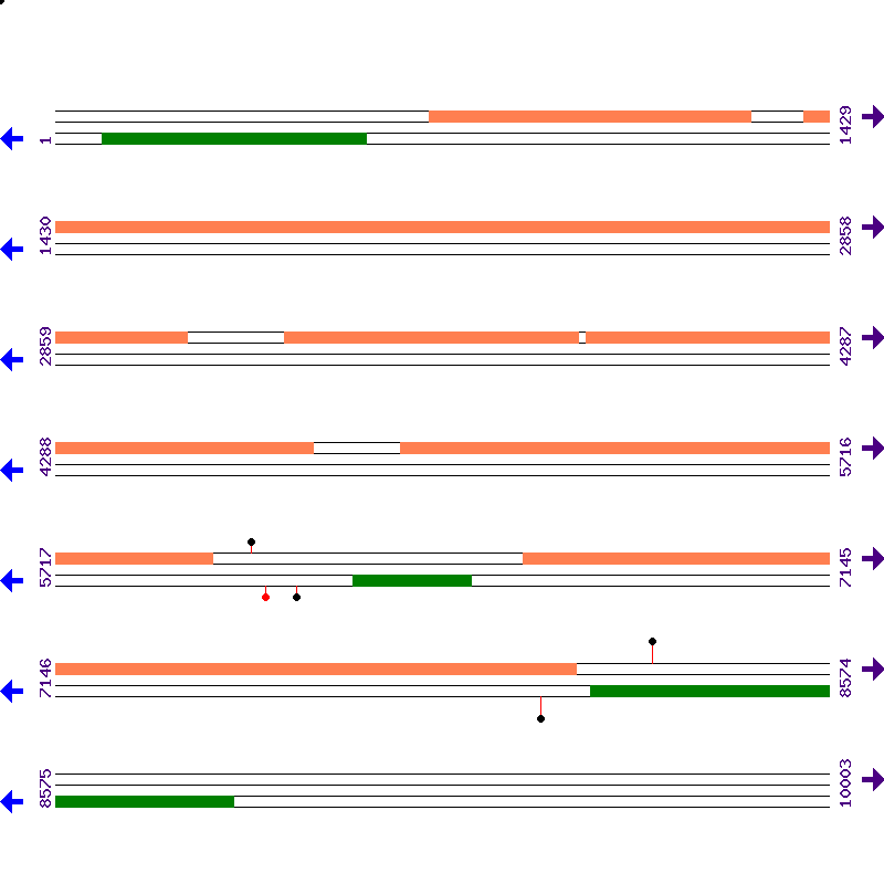 Genome View
