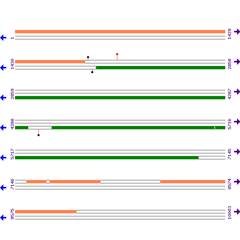 Genome View
