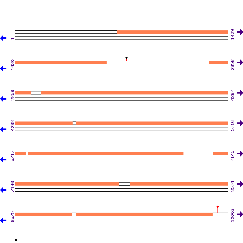 Genome View