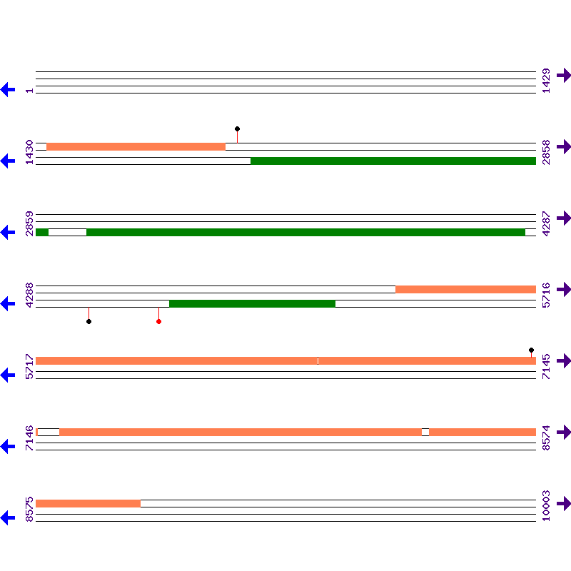 Genome View