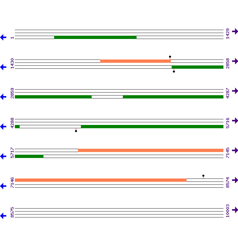 Genome View