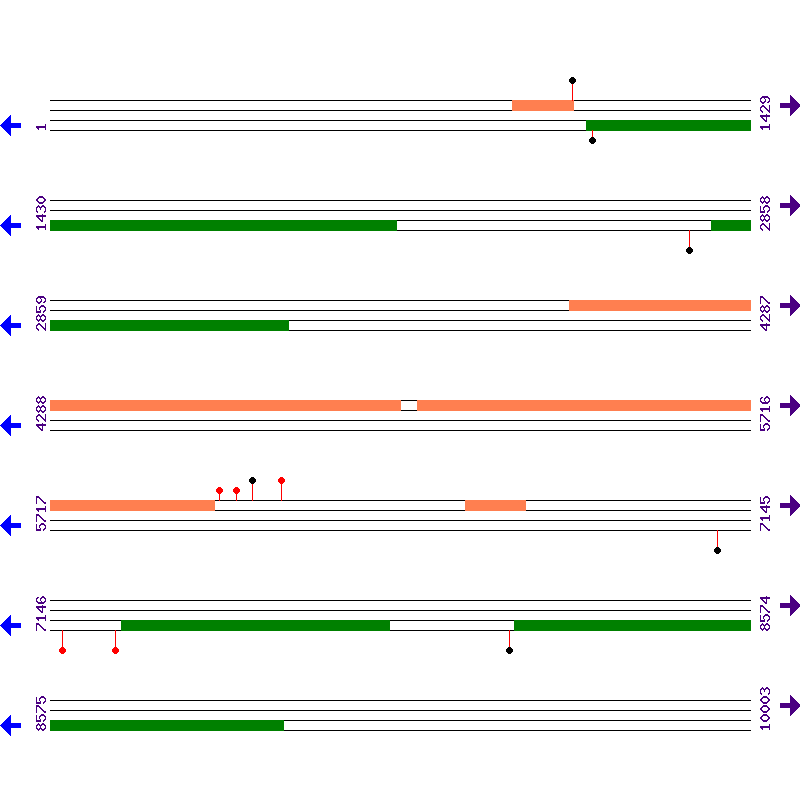 Genome View