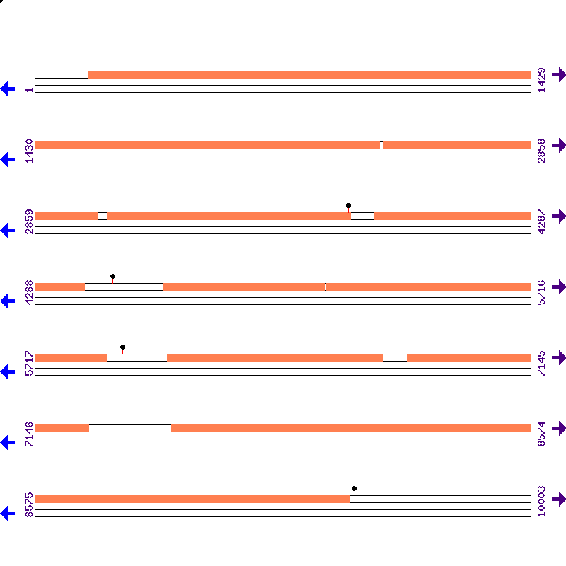 Genome View