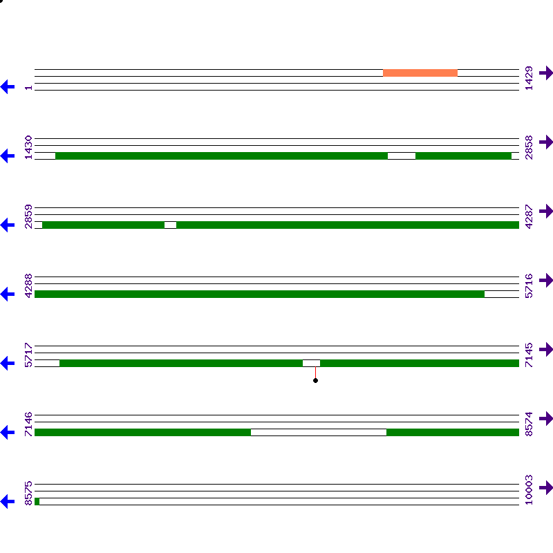 Genome View
