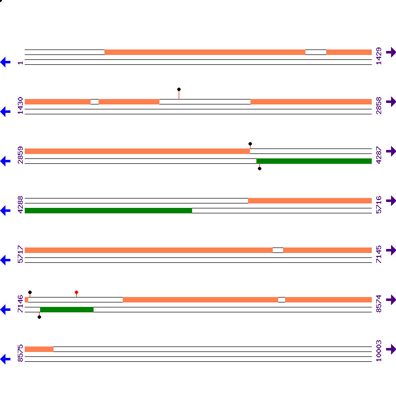 Genome View
