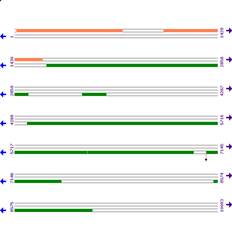 Genome View