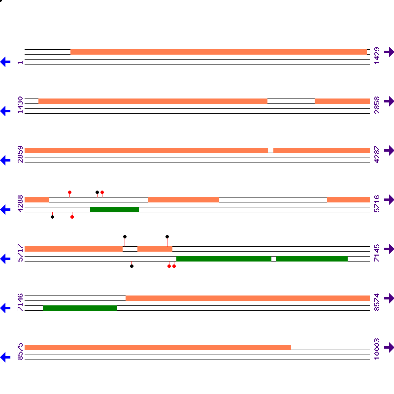 Genome View