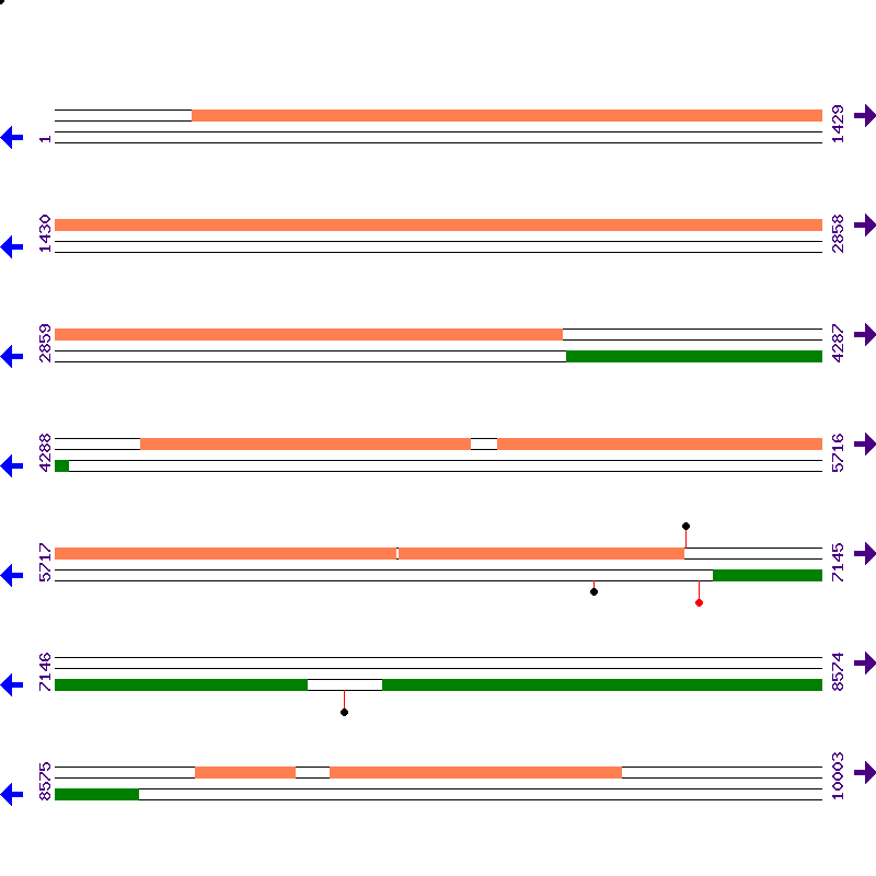 Genome View