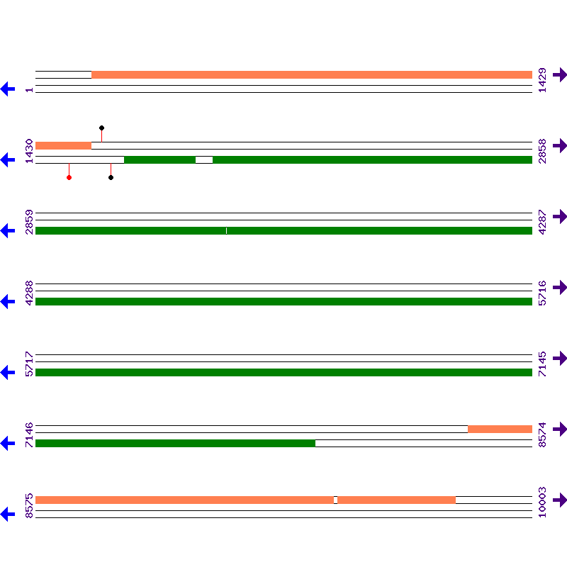 Genome View