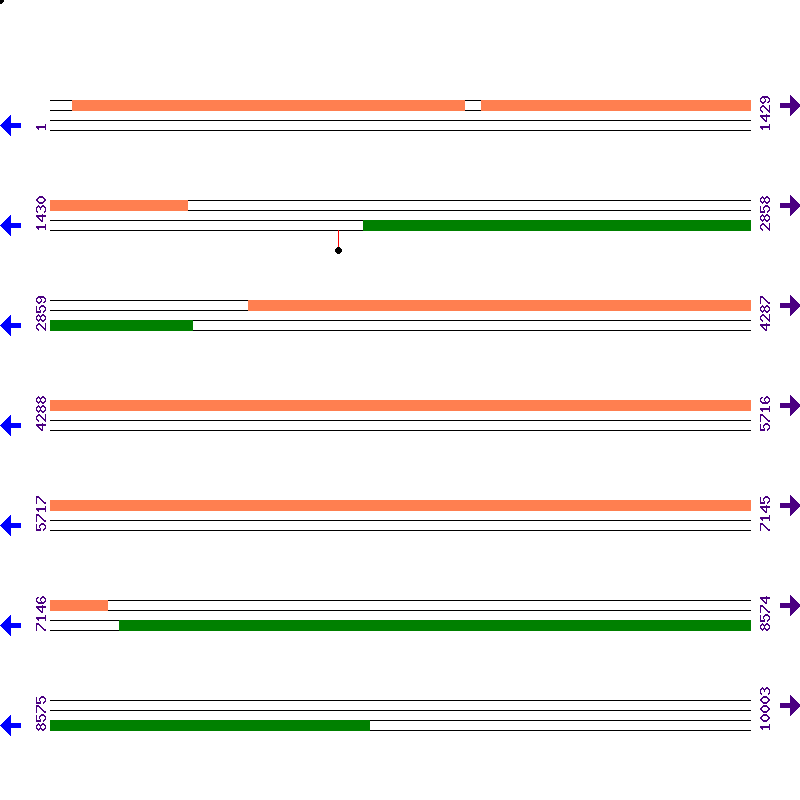 Genome View