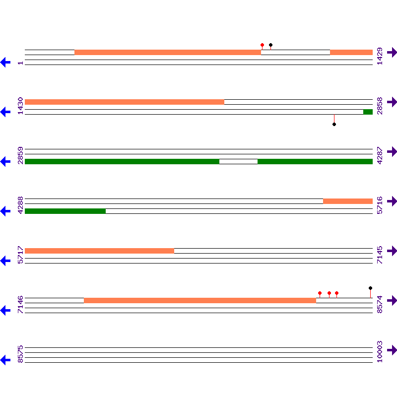 Genome View