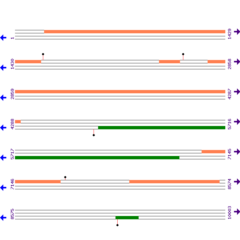 Genome View