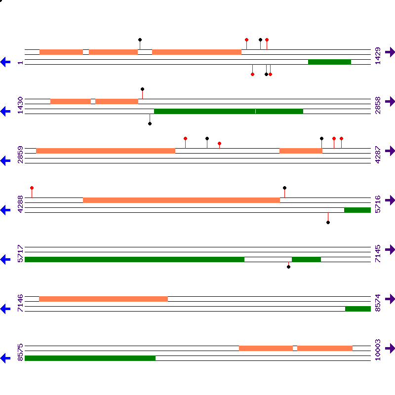 Genome View