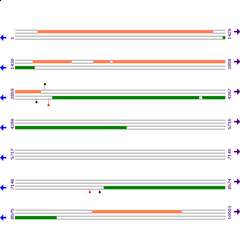 Genome View