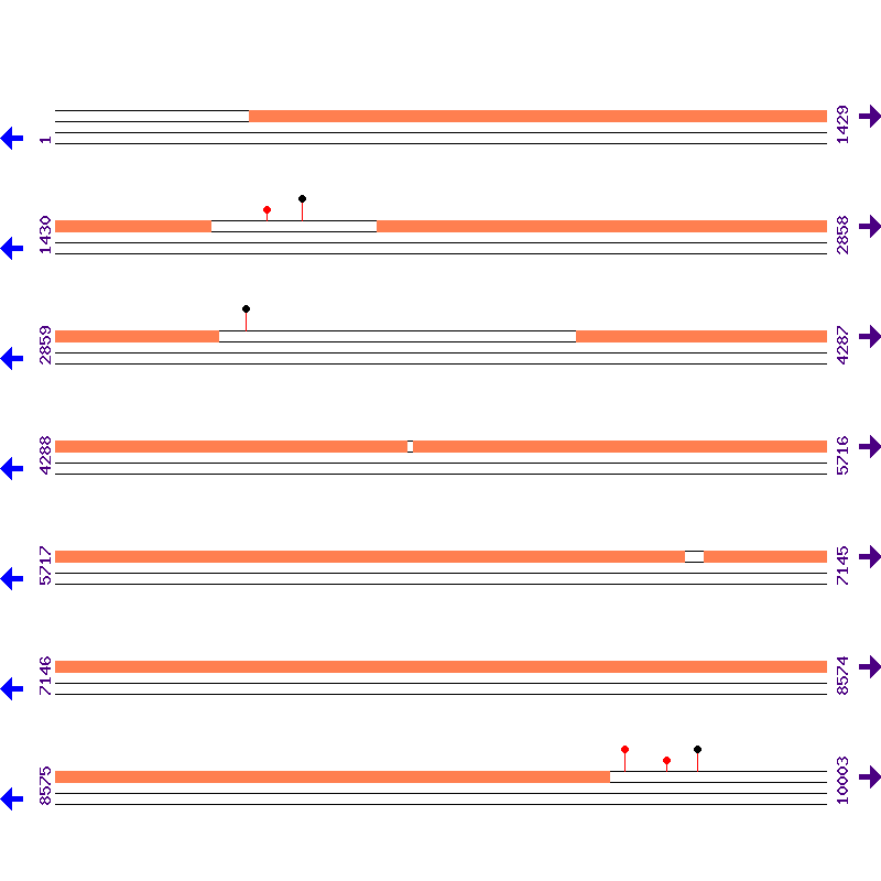 Genome View