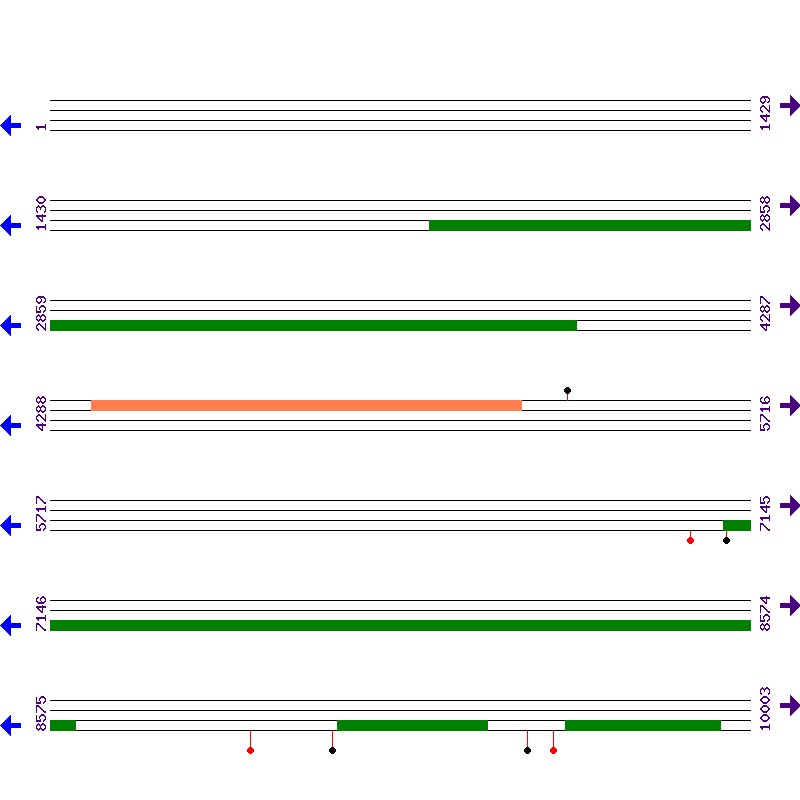 Genome View