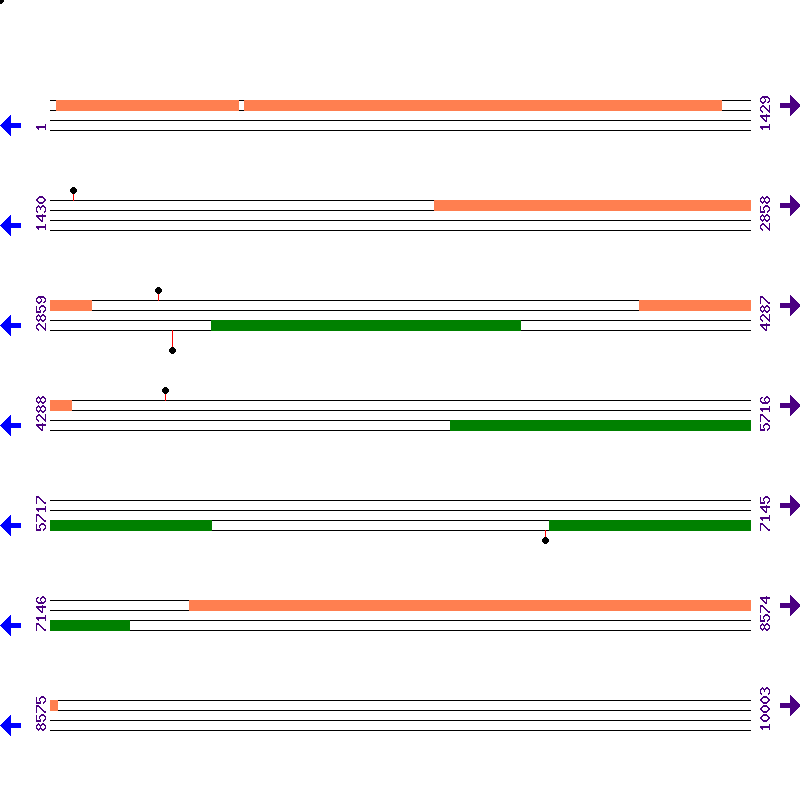 Genome View