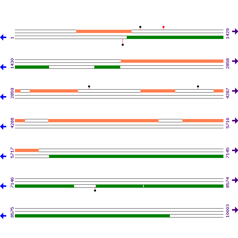 Genome View