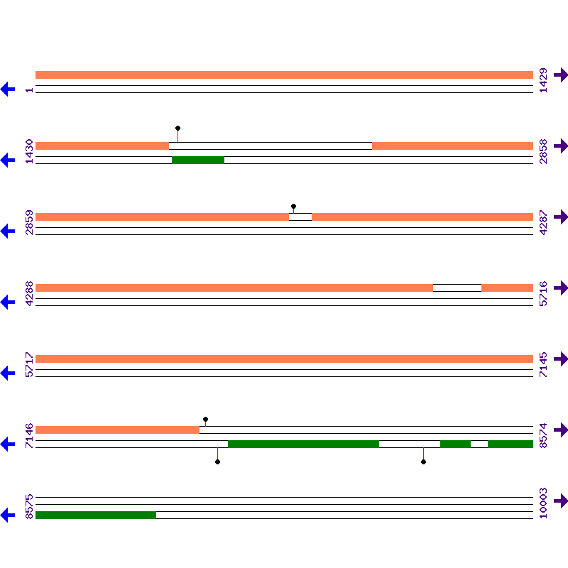 Genome View