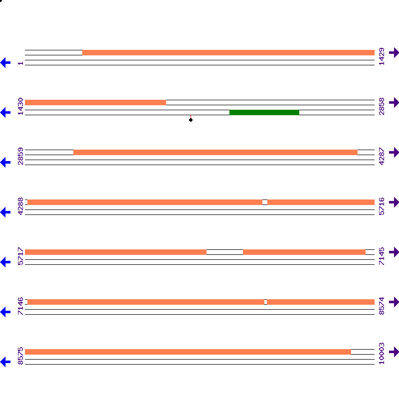 Genome View