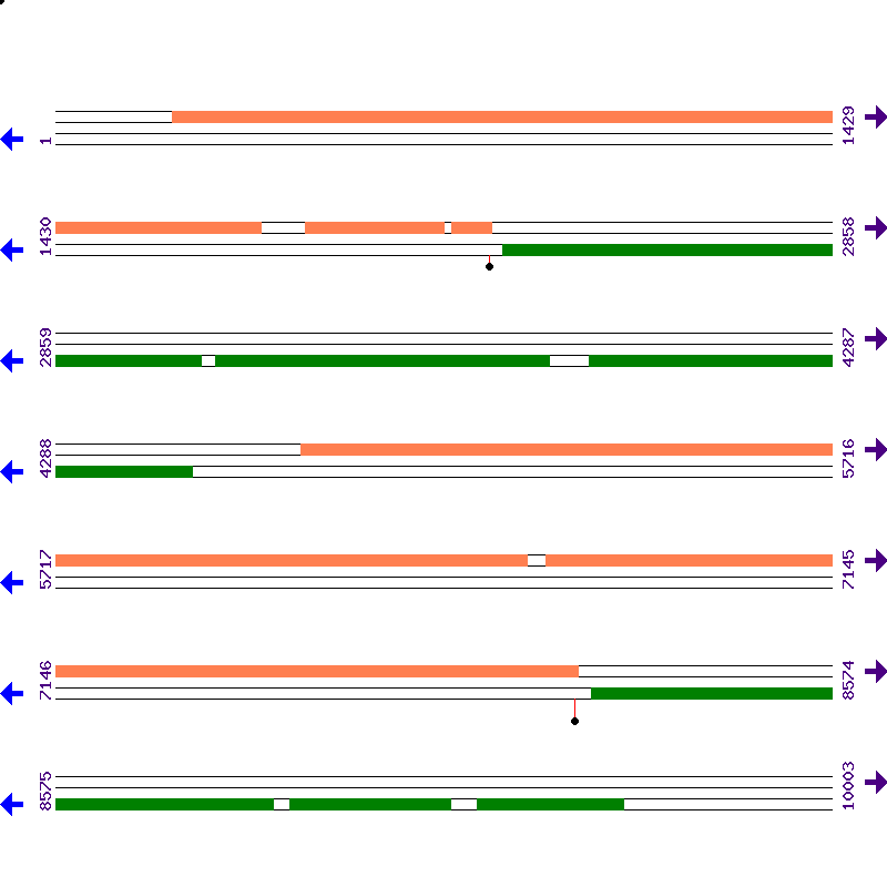 Genome View