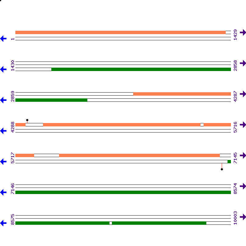 Genome View