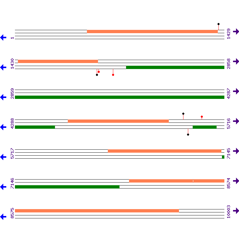 Genome View
