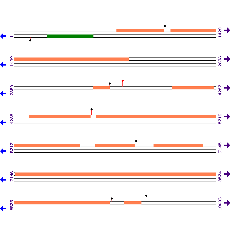 Genome View