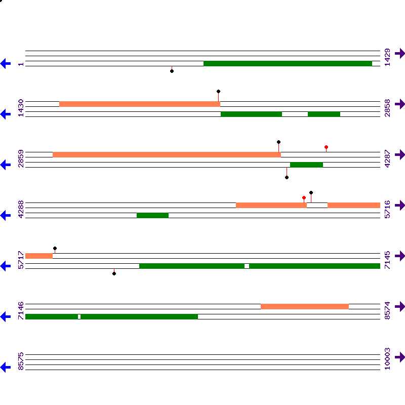 Genome View