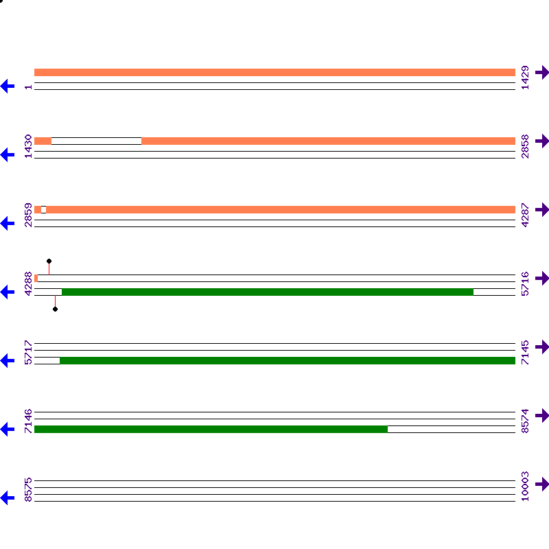 Genome View