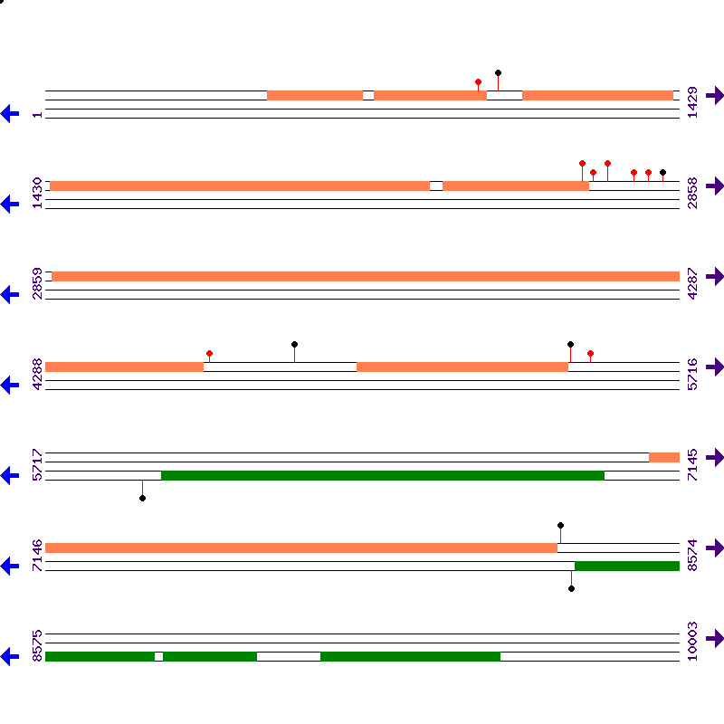 Genome View