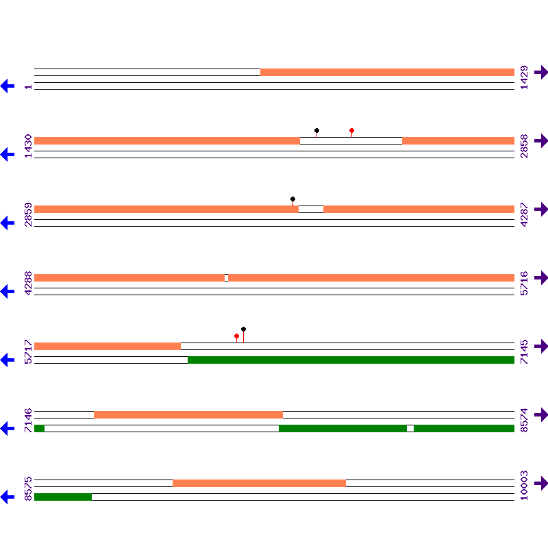 Genome View