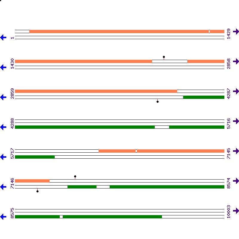 Genome View