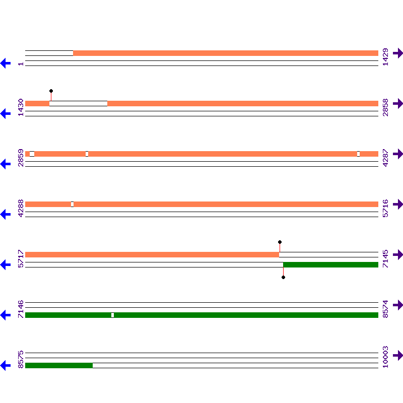 Genome View